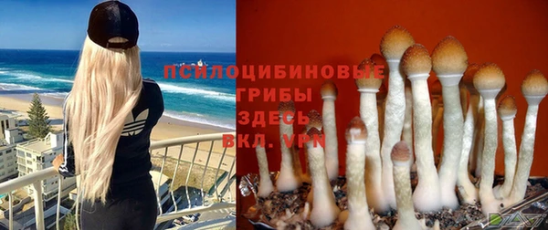 наркотики Беломорск
