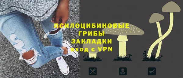 спиды Белокуриха