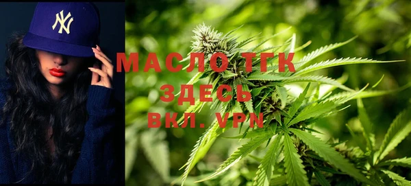 мдпв Богданович