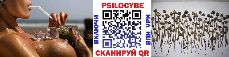 Псилоцибиновые грибы мицелий  Калининец 
